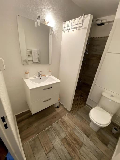 Appartamento Studio Cabine Avec Jardin Canet-en-Roussillon Esterno foto